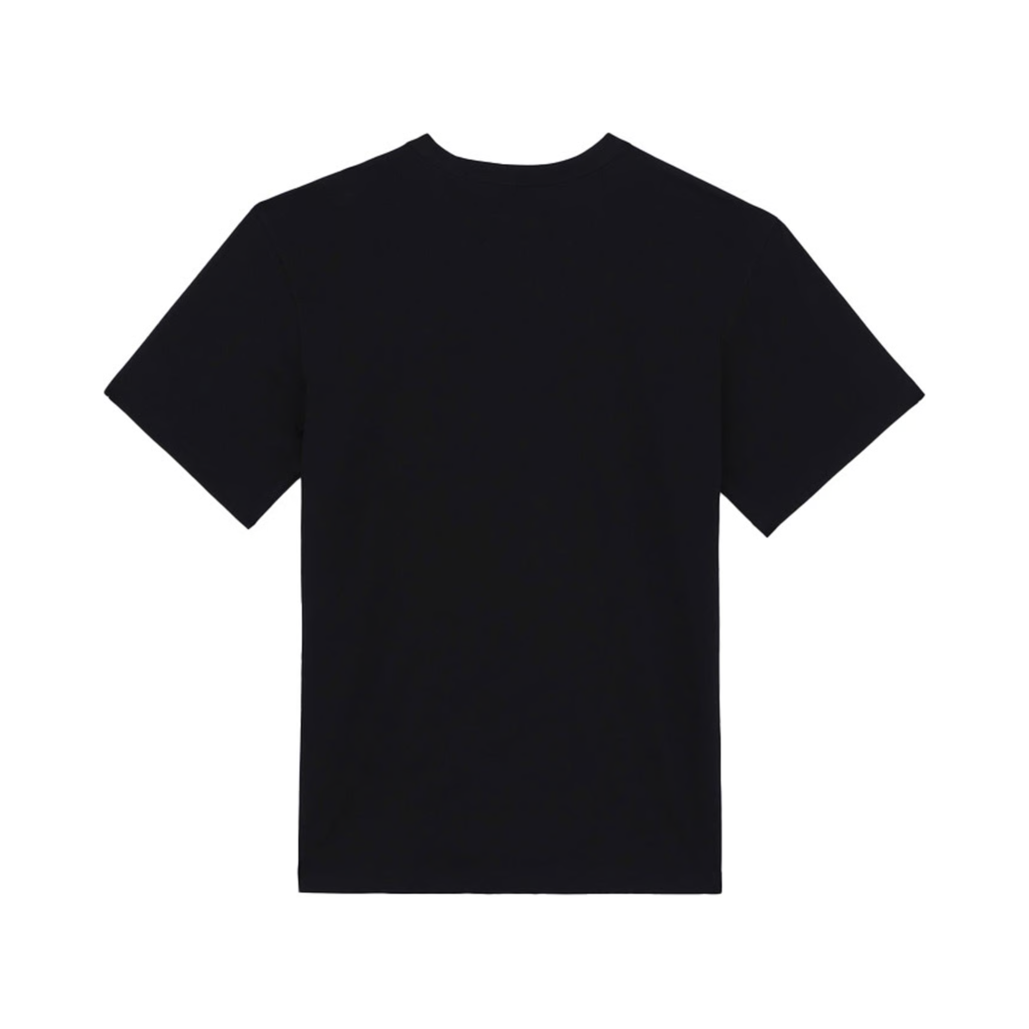 Tee Shirt - Aitkin Chest Tee SS Black - Dickies