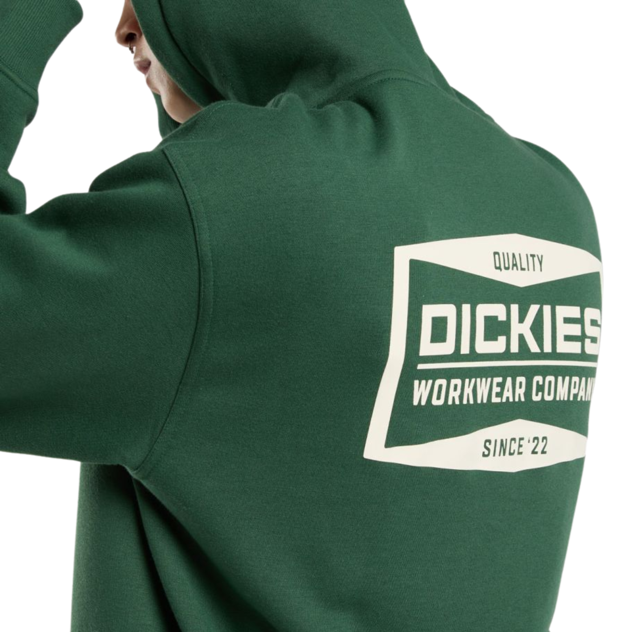 Hoodie Zip - Bolivar FZ Hoodie Pine Needle Green - Dickies