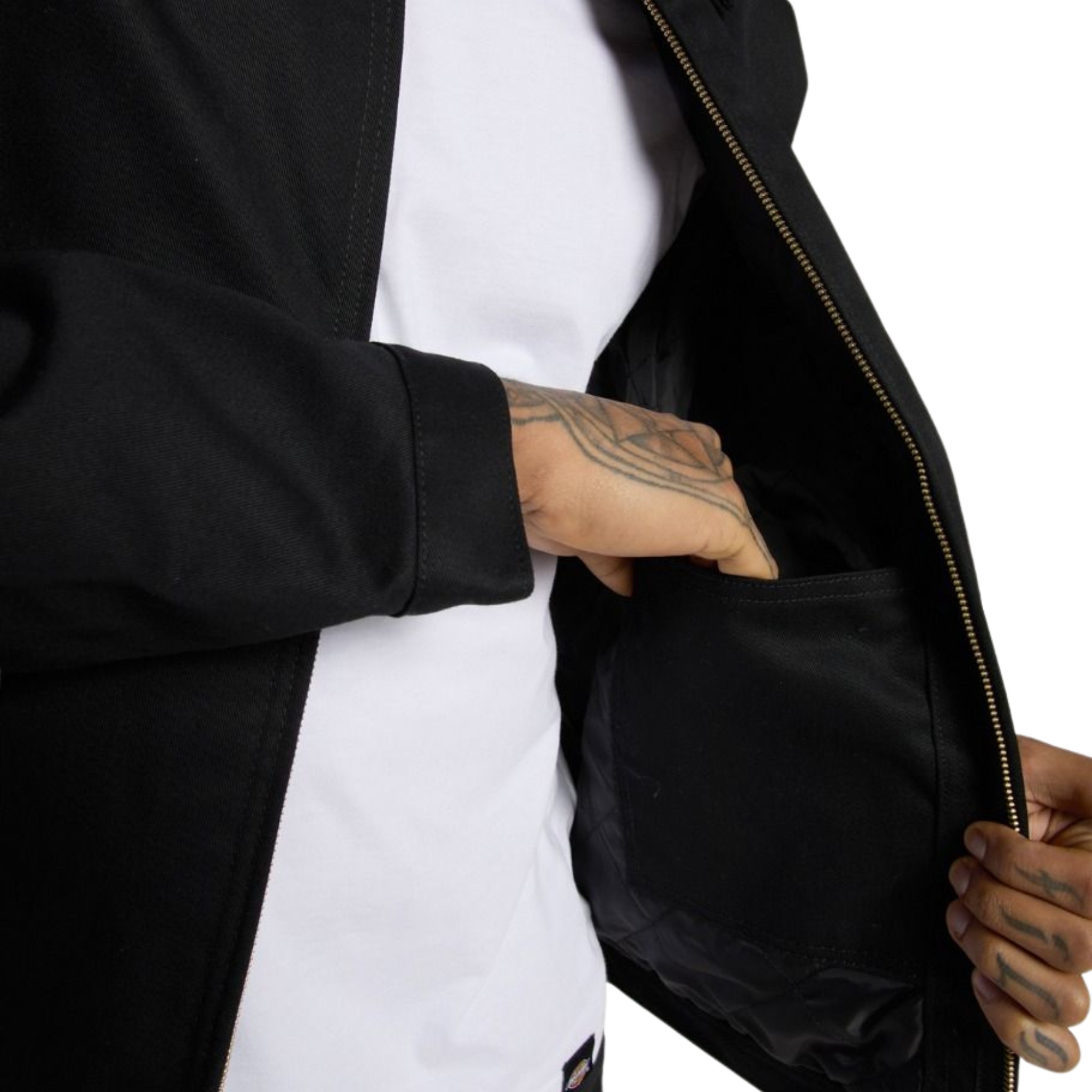 Veste - Eisenhower Doublée Veste - Dickies