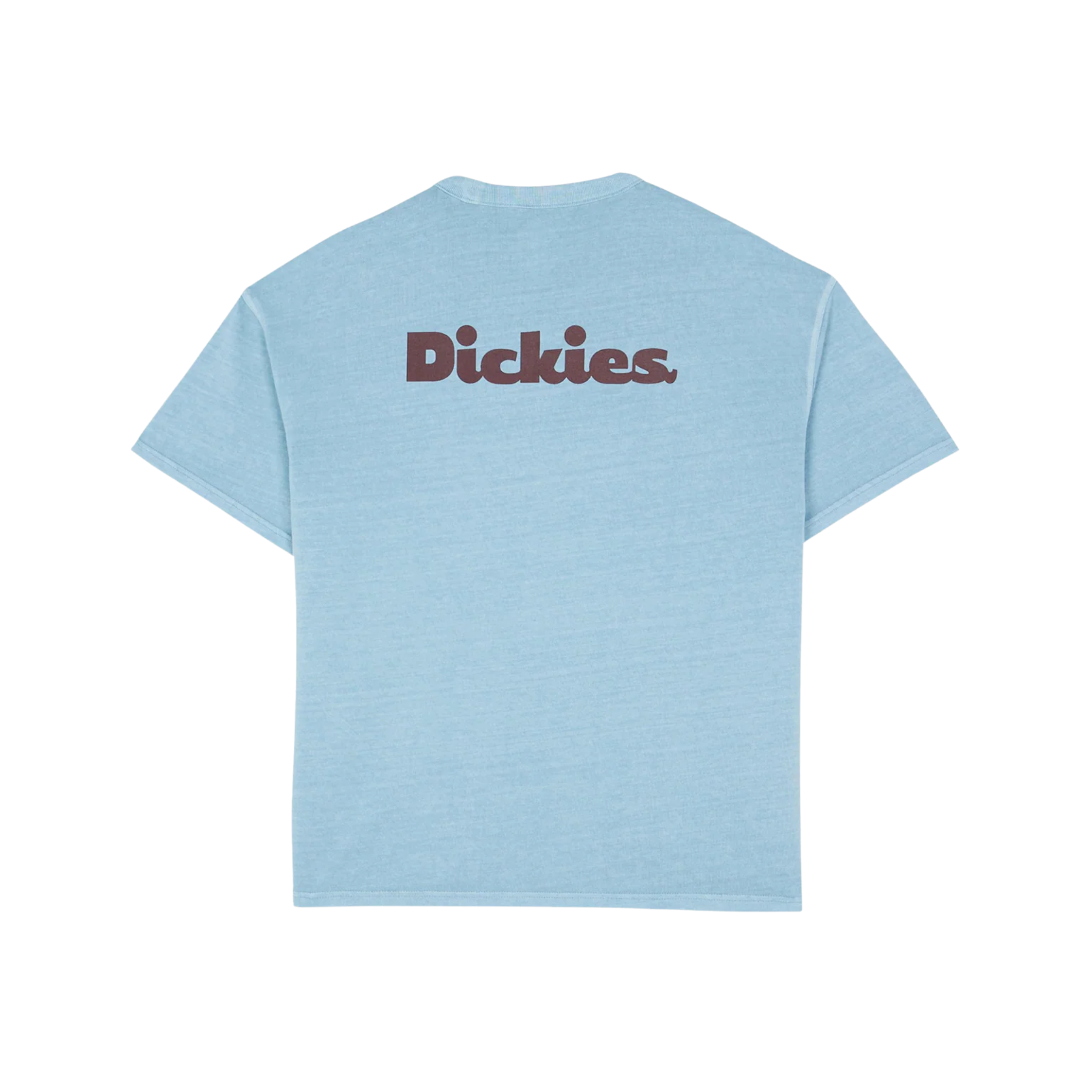 Tee Shirt - Slayden Tee SS Glacier lake - Dickies
