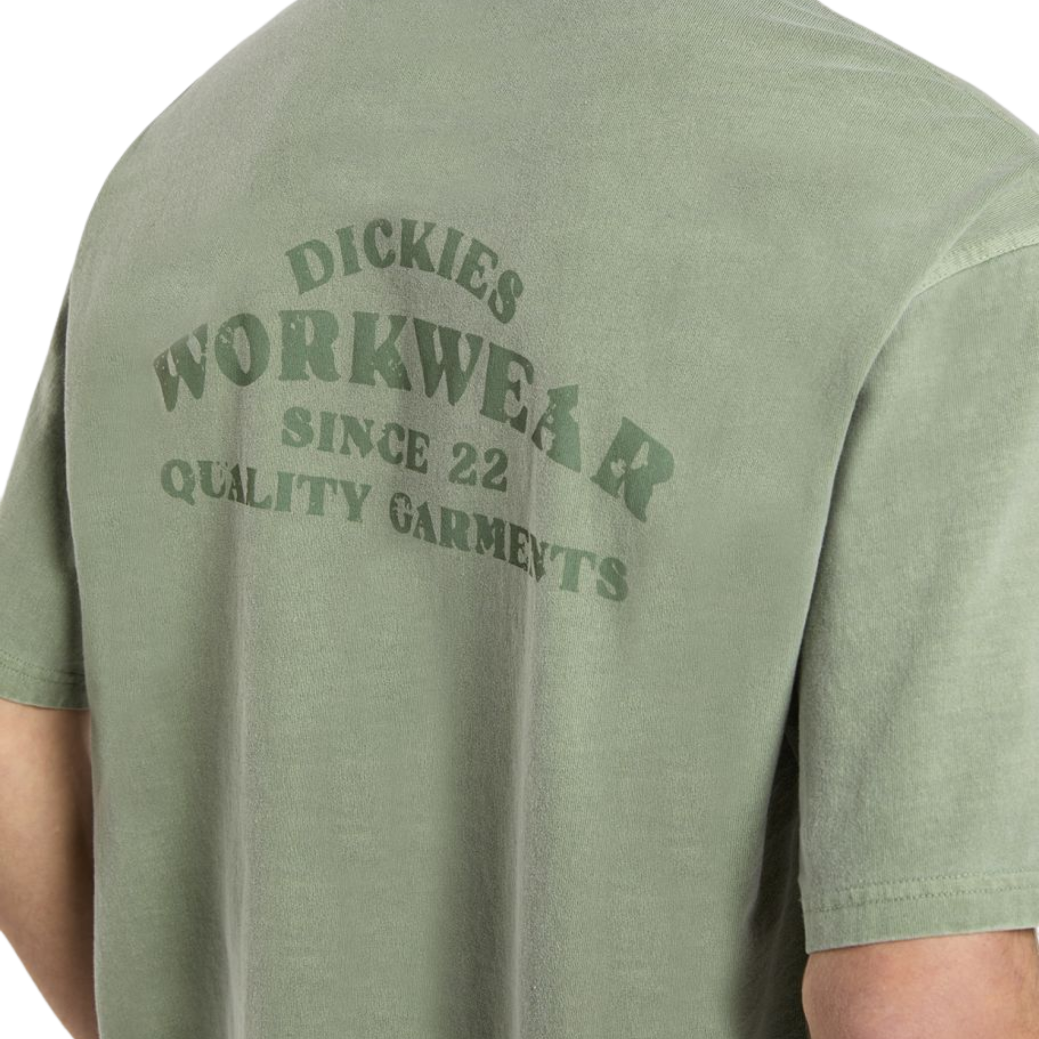 Tee Shirt - Christiana Tee SS Sea Spray - Dickies