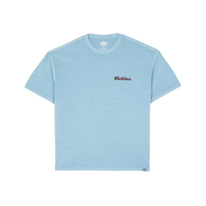 Tee Shirt - Slayden Tee SS Glacier lake - Dickies