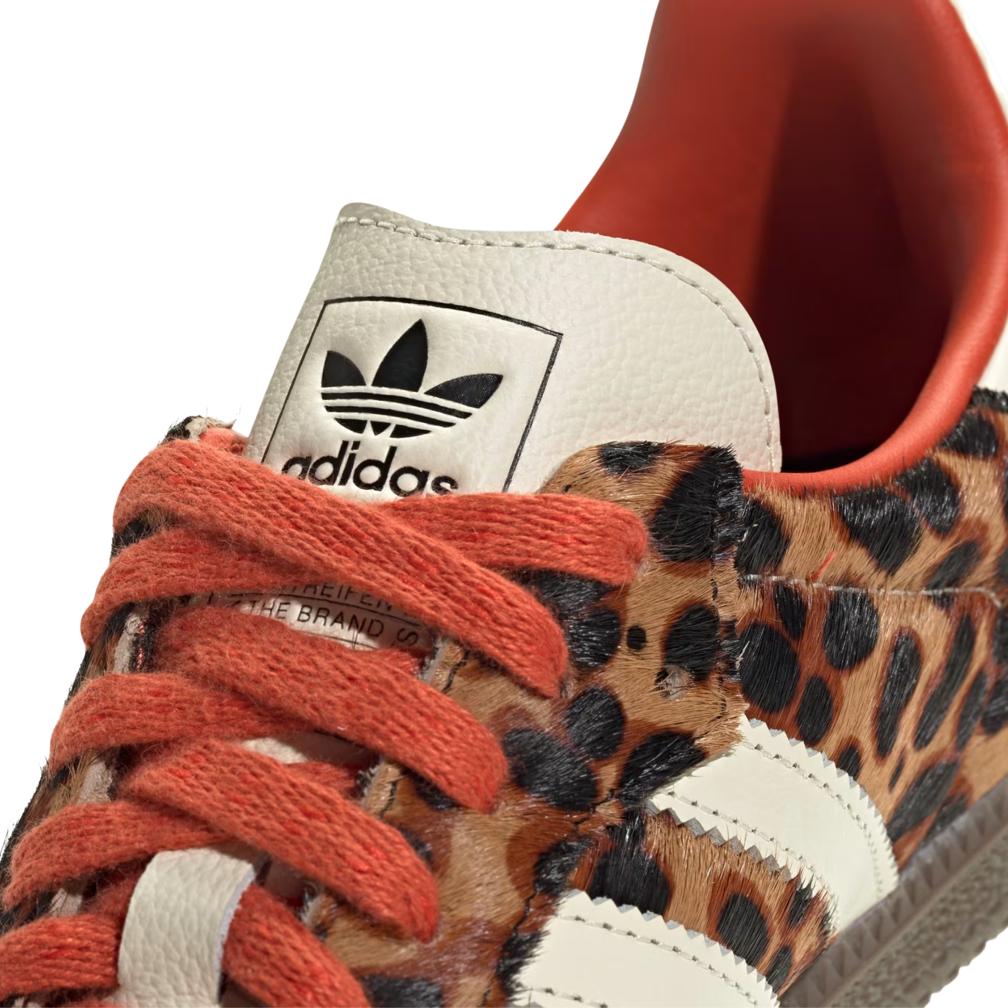 Sneakers - Adidas Samba Léopard - Adidas