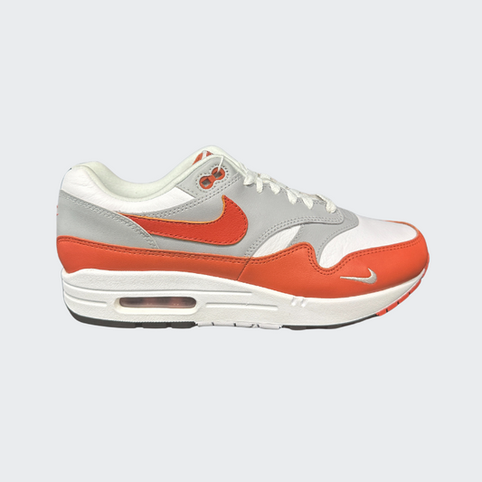 Air Max 1 Martian